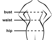 body measure